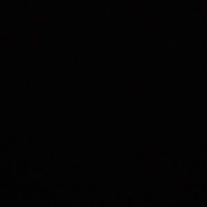 Meet your Posher, Anabel